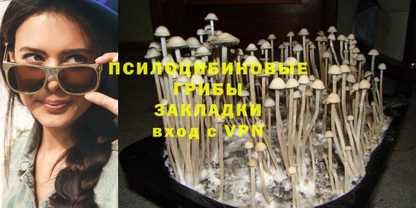 первитин Арсеньев