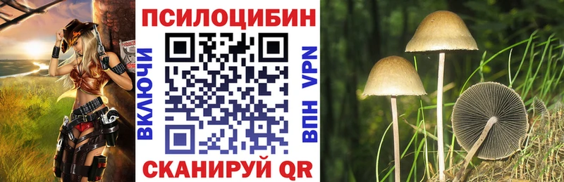 Галлюциногенные грибы мицелий  omg ТОР  Заполярный  купить наркотики сайты 